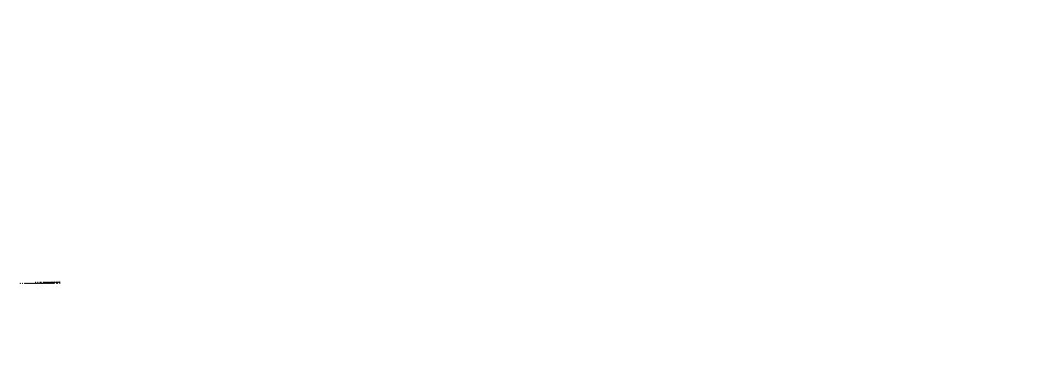 logo NET29